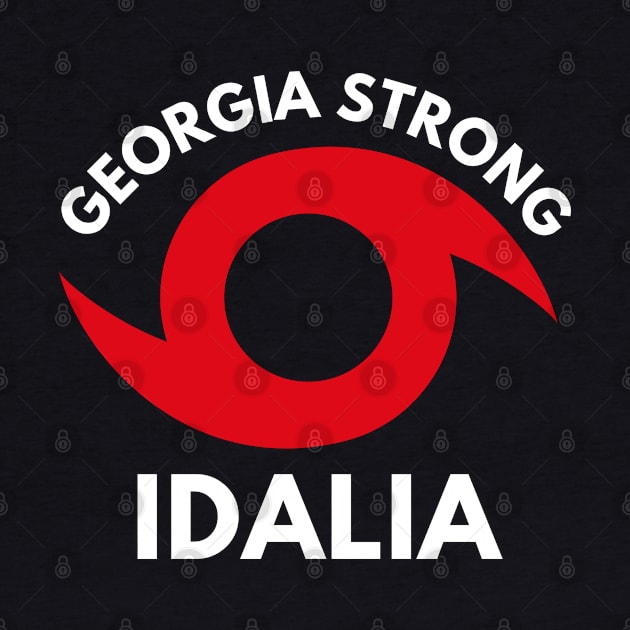 Georgia Strong - Hurricane Idalia by MtWoodson